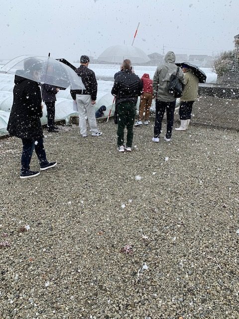 【土地の立会い】板野町